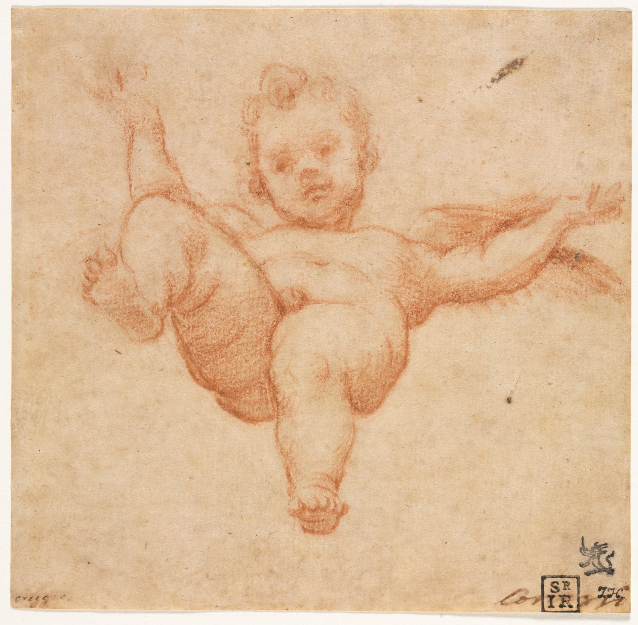 Cupidon volant - follower of Annibale Carracci