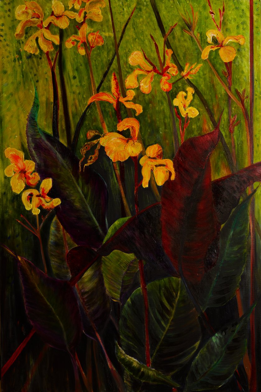 Canna Lily, 2017 - jocasta shakespeare