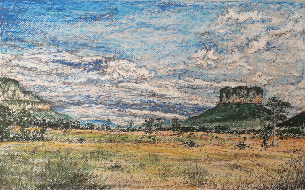 La Gran Sabana Venezuela - miguelmendez_art.ve
