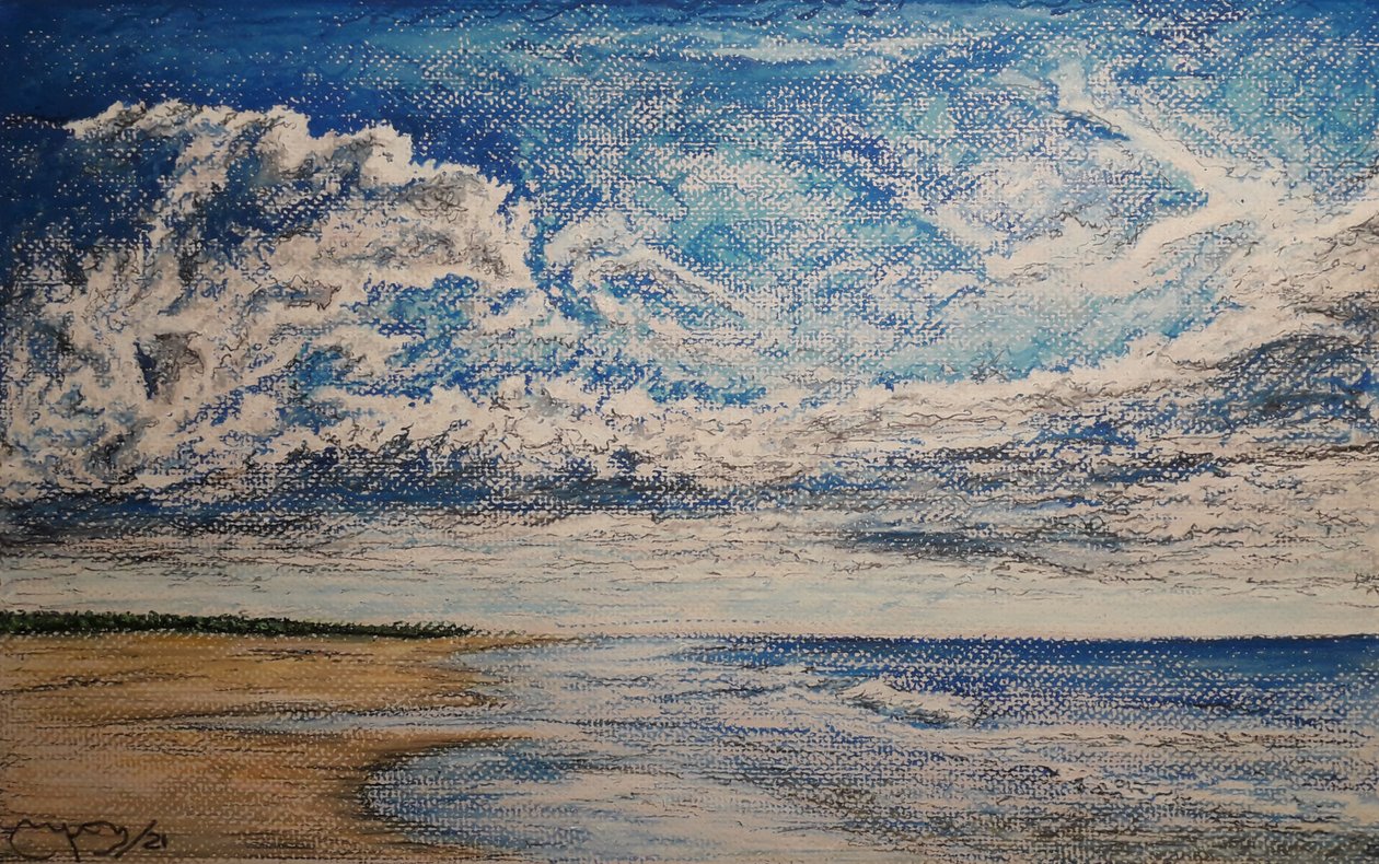 Plage de Punta Arenas - miguelmendez_art.ve