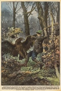 Lutte dramatique avec un aigle royal