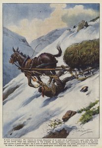 Le mulet neurasthénique