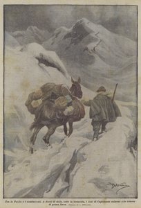 Entre la Patrie et les combattants