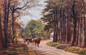 Forêt de Broadwater, Tunbridge Wells