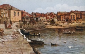Mouettes dans le port, St Ives