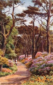 Bois de Sheringham