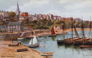 Tenby, port