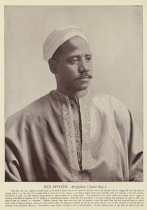 Sied Affende, Garçon égyptien avec un chameau