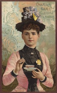 Dame remuant une tasse de thé