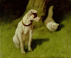 Chat persan blanc et Jack Russell