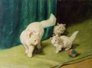 Chat persan blanc avec deux chatons