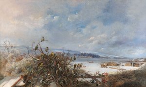 Les oiseaux d