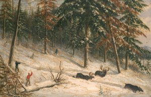Chasse à l