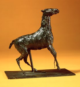 Cheval caracolant