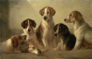Chiens de chasse