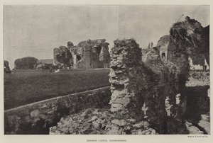 Château de Denbigh, Denbighshire