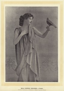 Miss Connie Collier: une Étude