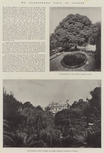 Visite de M. Gladstone à Cannes