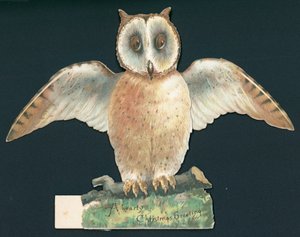 Chouette brune avec ailes ouvertes, carte de Noël