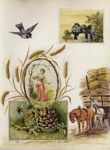 Page d