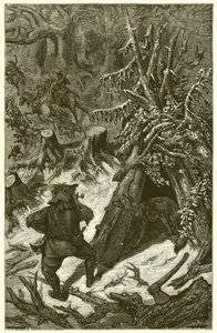 Le Renard et le Paysan