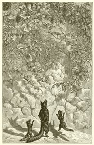 Le Renard et les Raisins