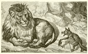 Le renard et le lion