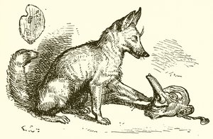 Le Renard et le Masque