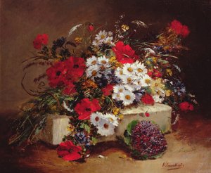 Coquelicots et marguerites