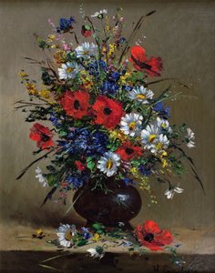 Coquelicots et marguerites