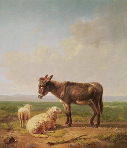 Âne et Moutons, 1849