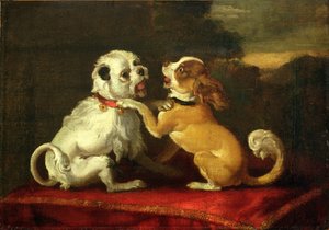 Chiens en Train de Jouer
