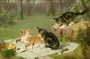 Chatons jouant