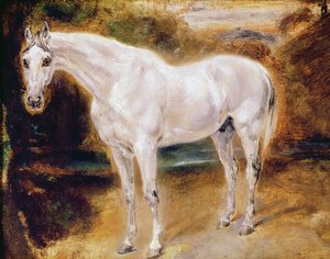 Cheval blanc