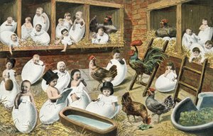 Bébés éclosant d
