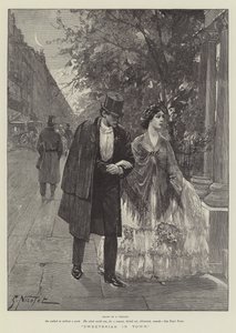 Églantier en ville