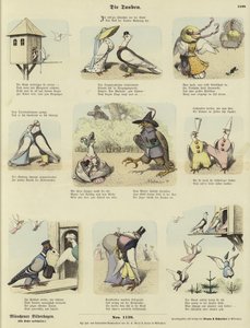 Les pigeons