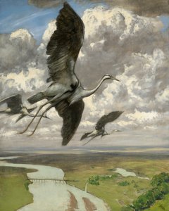 Oiseaux merveilleux, 1892