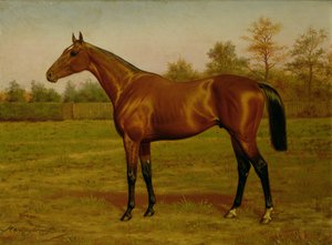 Isinglass, Triple Couronne, 1893