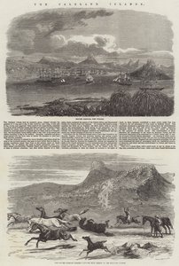 Les îles Falkland