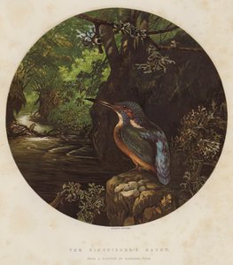 Le Repaire du Martin-pêcheur
