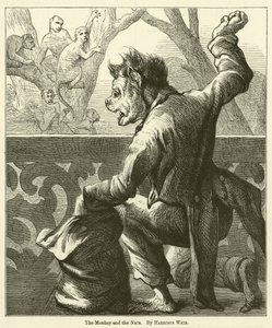 Le singe et les noix