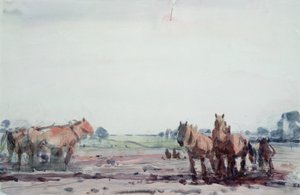 Chevaux de labour