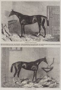 Les gagnants du Derby et des Oaks