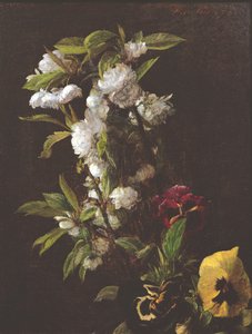 Fleurs, 1876