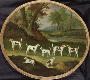 Chiens courants dans un paysage boisé
