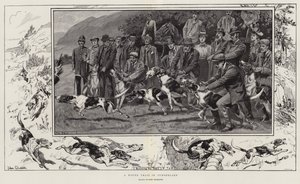Une course de chiens en Cumberland