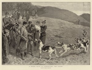 Une course de chiens en Cumberland, l