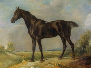 Le Cheval Noir de Golding Constable, vers 1805-10