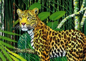 Animaux : Léopard 1